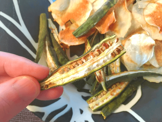 ノンオイル野菜チップス(おくら)
