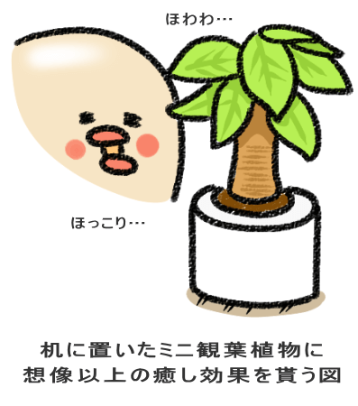 机に置いたミニ観葉植物に 想像以上の癒し効果を貰う図