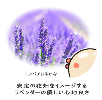 安定の花畑をイメージする ラベンダーの優しい心地良さ