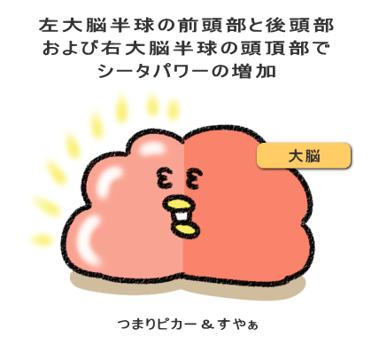 左大脳半球の前頭部と後頭部 および右大脳半球の頭頂部で シータパワーの増加