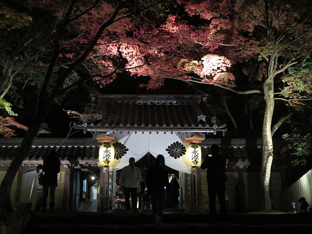 ライトアップされた永源寺の紅葉を観に行ってきた 今日も気ままにひとりごと