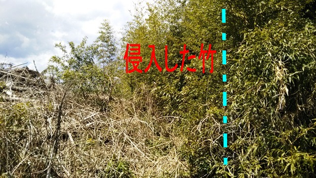 f:id:nekoyanookami:20190415215800j:plain