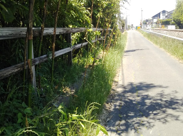 f:id:nekoyanookami:20190616155000j:plain