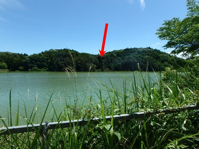 f:id:nekoyanookami:20190618230332j:plain