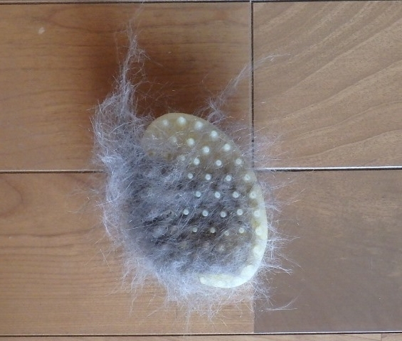 f:id:nekoyanookami:20190624170943j:plain