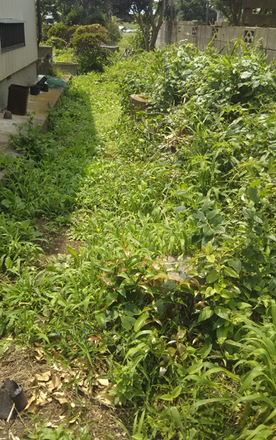 f:id:nekoyanookami:20190726144404j:plain f:id:nekoyanookami:20190726144404j:plain