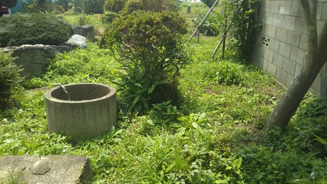 f:id:nekoyanookami:20190726144421j:plain f:id:nekoyanookami:20190726144421j:plain