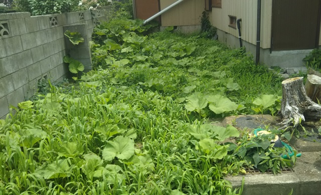 f:id:nekoyanookami:20190726144441j:plain f:id:nekoyanookami:20190726144441j:plain