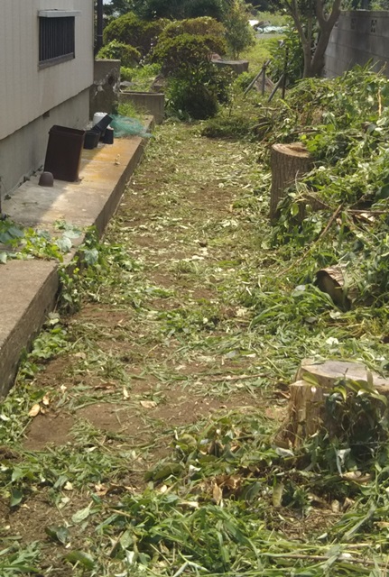 f:id:nekoyanookami:20190726152844j:plain f:id:nekoyanookami:20190726152844j:plain