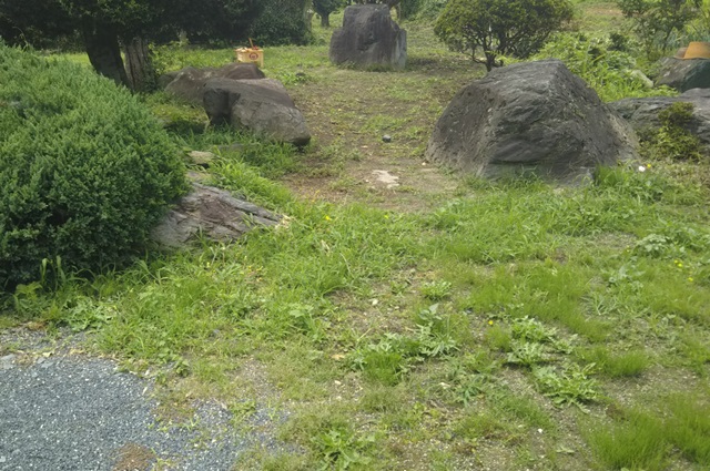 f:id:nekoyanookami:20190729160948j:plain f:id:nekoyanookami:20190729160948j:plain
