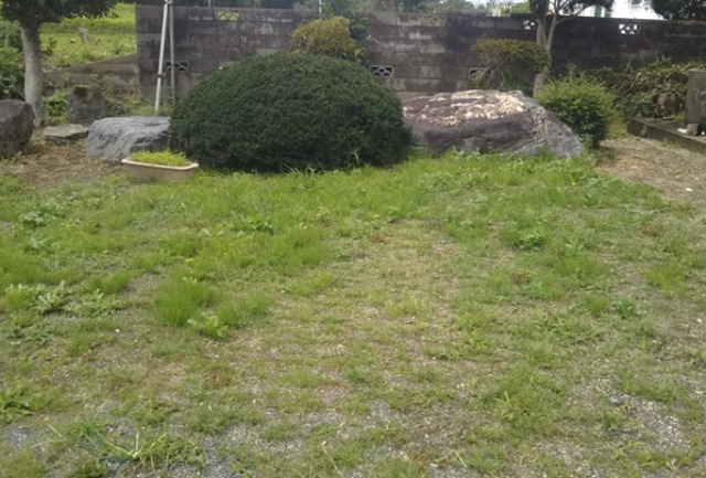 f:id:nekoyanookami:20190729161019j:plain f:id:nekoyanookami:20190729161019j:plain