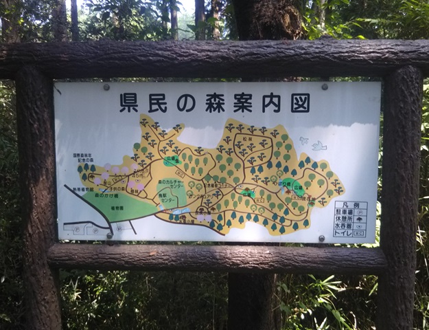 f:id:nekoyanookami:20190801152009j:plain