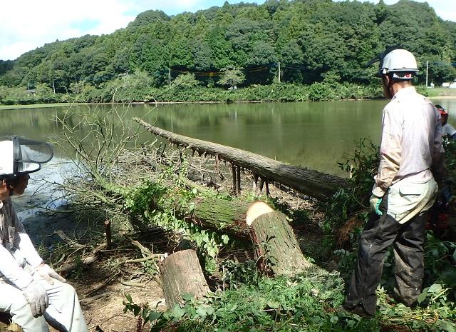 f:id:nekoyanookami:20190908192423j:plain