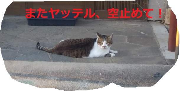 f:id:nekoyanookami:20190910151219j:plain