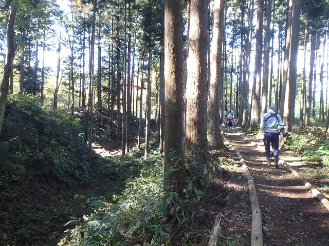 f:id:nekoyanookami:20191116194117j:plain f:id:nekoyanookami:20191116194117j:plain