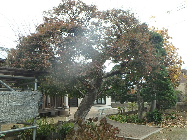f:id:nekoyanookami:20191129185410j:plain f:id:nekoyanookami:20191129185410j:plain
