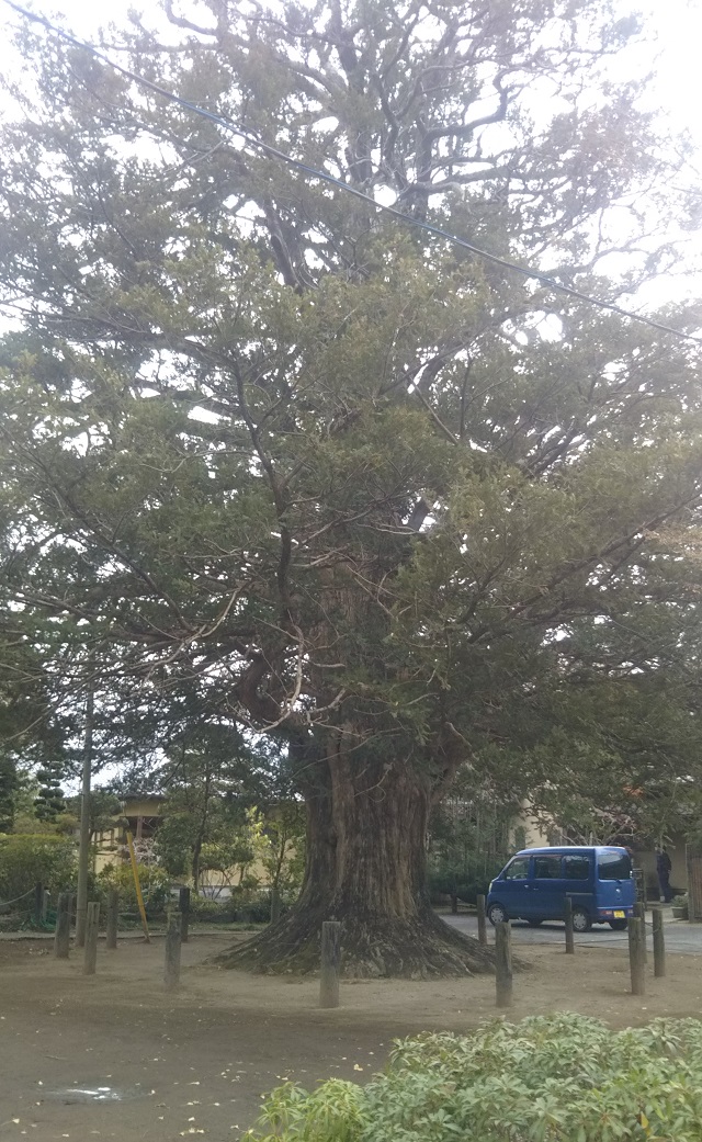f:id:nekoyanookami:20191223172733j:plain f:id:nekoyanookami:20191223172733j:plain