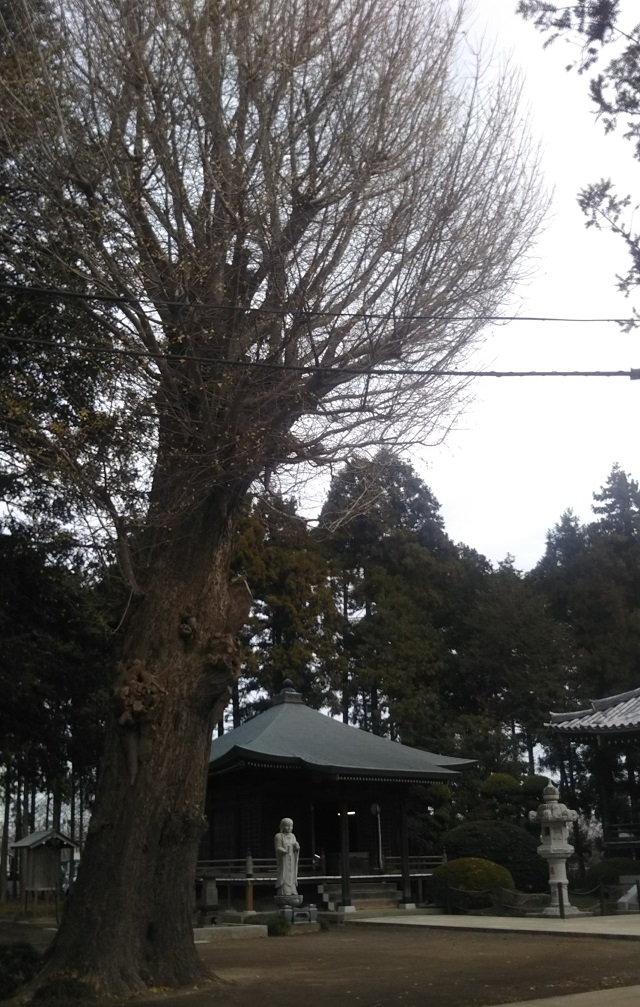 f:id:nekoyanookami:20191223172754j:plain f:id:nekoyanookami:20191223172754j:plain