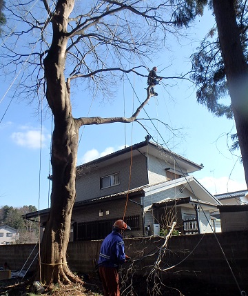 f:id:nekoyanookami:20200113224757j:plain f:id:nekoyanookami:20200113224757j:plain