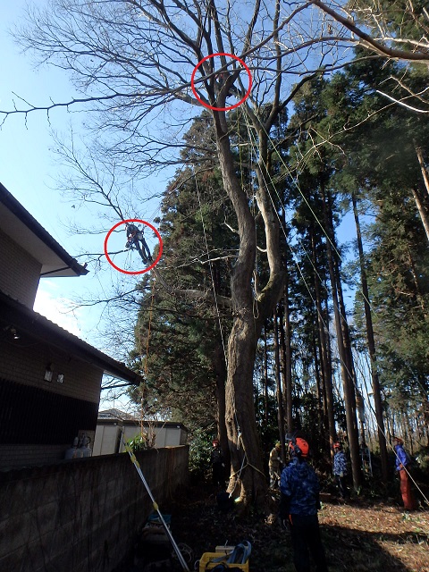 f:id:nekoyanookami:20200113224812j:plain f:id:nekoyanookami:20200113224812j:plain