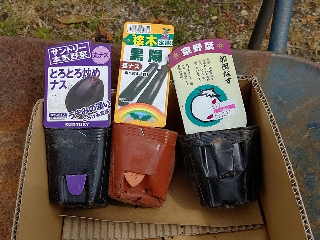 f:id:nekoyanookami:20200422170135j:plain