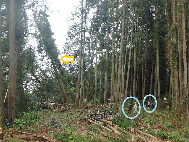 f:id:nekoyanookami:20200517141833j:plain f:id:nekoyanookami:20200517141833j:plain
