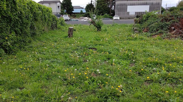 f:id:nekoyanookami:20200625112935j:plain