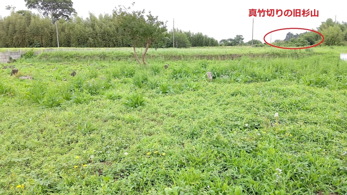 f:id:nekoyanookami:20200625113224j:plain
