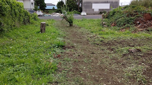 f:id:nekoyanookami:20200625115459j:plain