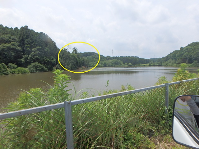 f:id:nekoyanookami:20200628114211j:plain