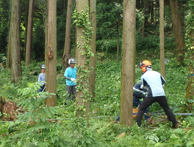 f:id:nekoyanookami:20200628120143j:plain