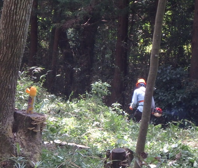 f:id:nekoyanookami:20200906121556j:plain