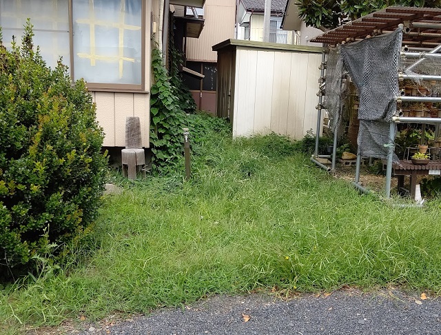 f:id:nekoyanookami:20200912151128j:plain