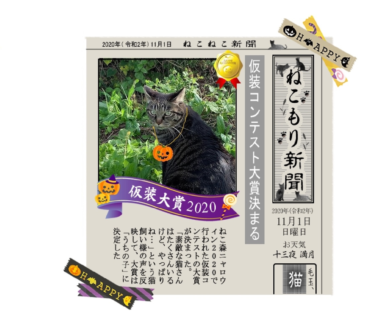 f:id:nekoyanookami:20201110200359j:plain