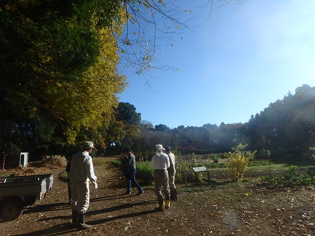 f:id:nekoyanookami:20201122132502j:plain