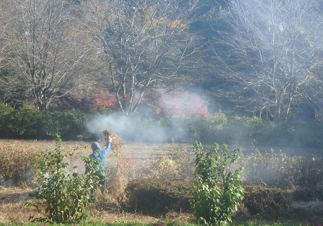 f:id:nekoyanookami:20201122133636j:plain
