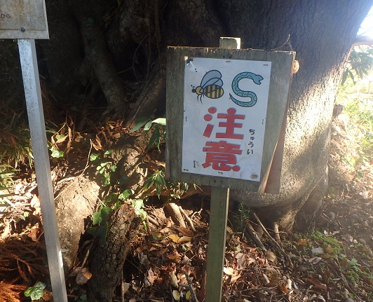f:id:nekoyanookami:20201122143644j:plain