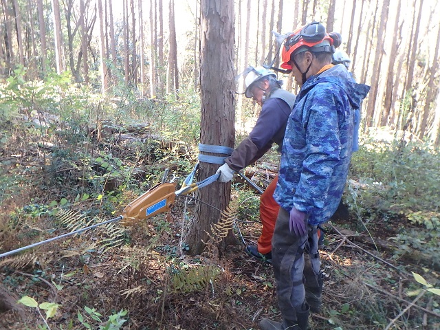 f:id:nekoyanookami:20201201232646j:plain