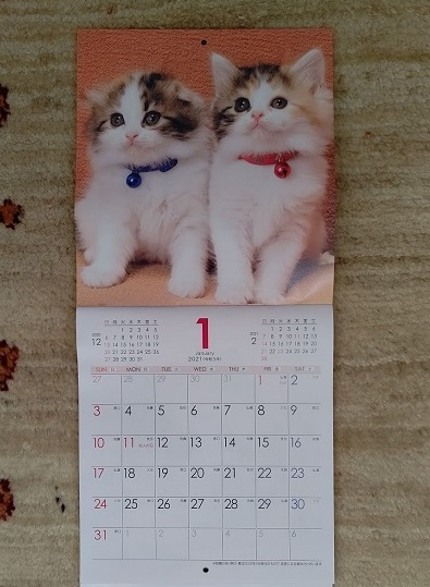 f:id:nekoyanookami:20201217173618j:plain