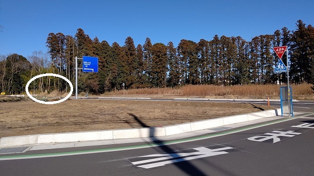 f:id:nekoyanookami:20210121163602j:plain