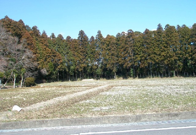 f:id:nekoyanookami:20210121164333j:plain