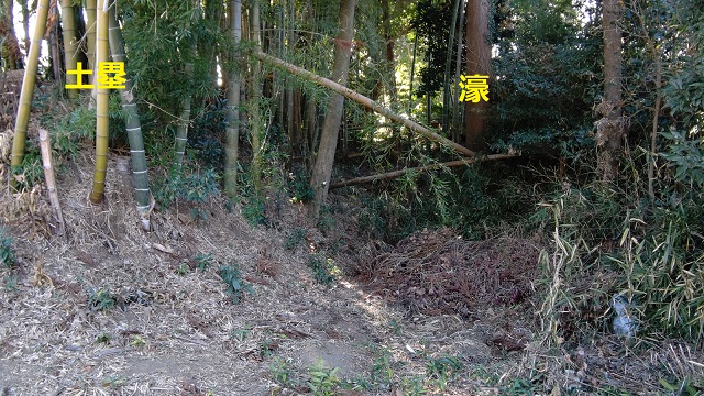 f:id:nekoyanookami:20210121172957j:plain