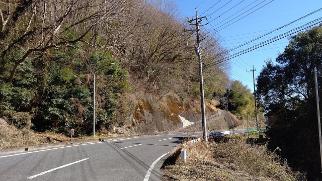 f:id:nekoyanookami:20210207143123j:plain
