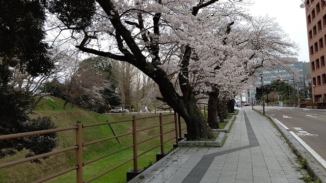 f:id:nekoyanookami:20210325215307j:plain