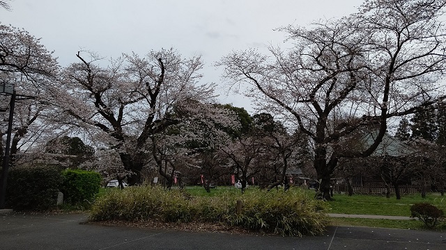 f:id:nekoyanookami:20210325220145j:plain