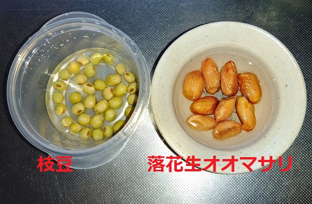 f:id:nekoyanookami:20210504223113j:plain