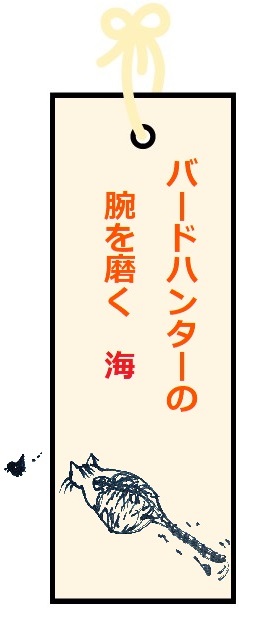 f:id:nekoyanookami:20210705232719j:plain