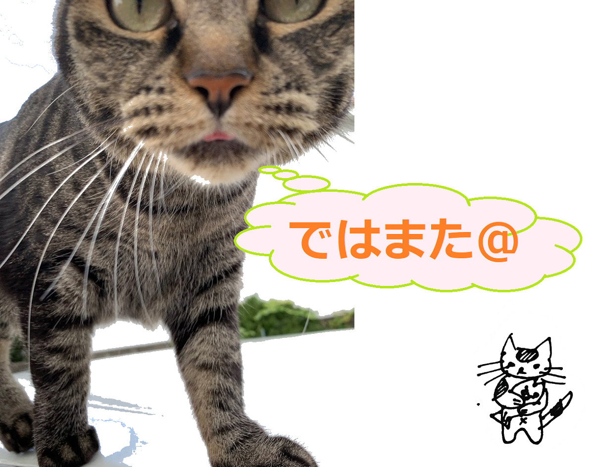f:id:nekoyanookami:20210911155338p:plain