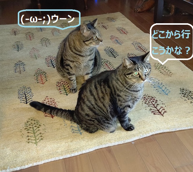 f:id:nekoyanookami:20210921230432j:plain