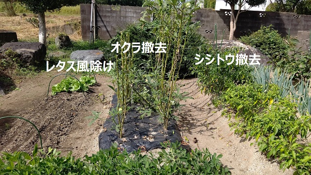 f:id:nekoyanookami:20210930213827j:plain